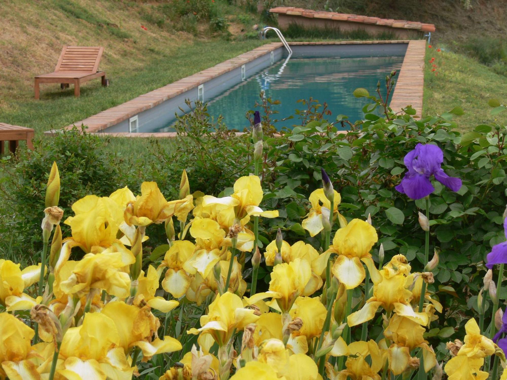 Casa Isabella Guest House Vaglio Serra Ngoại thất bức ảnh